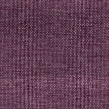 Nisida FR9940-030 Petunia